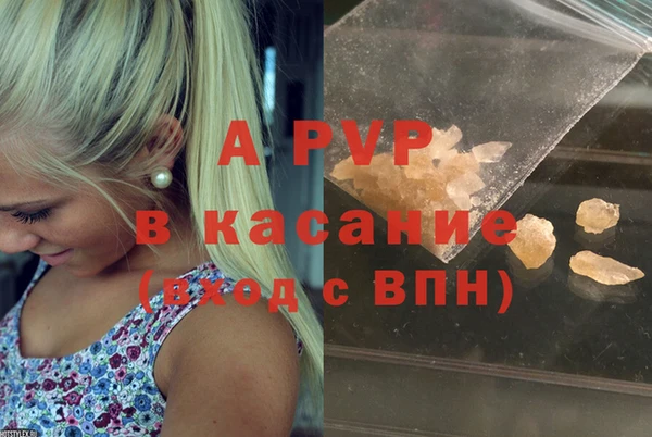 a pvp Бородино