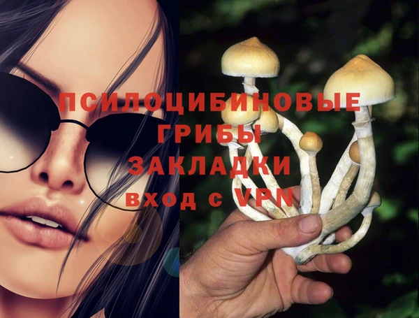 a pvp Бородино