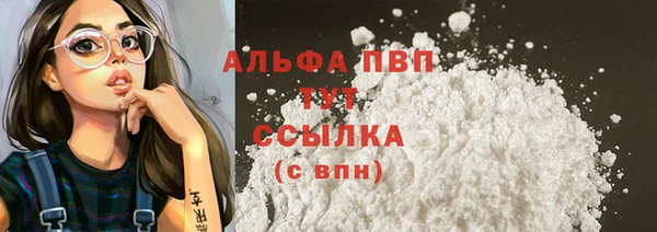 a pvp Бородино