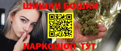 индика Можга
