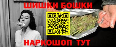индика Можга