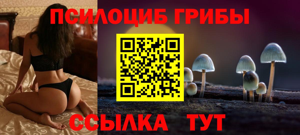 Псилоцибиновые грибы GOLDEN TEACHER Воркута