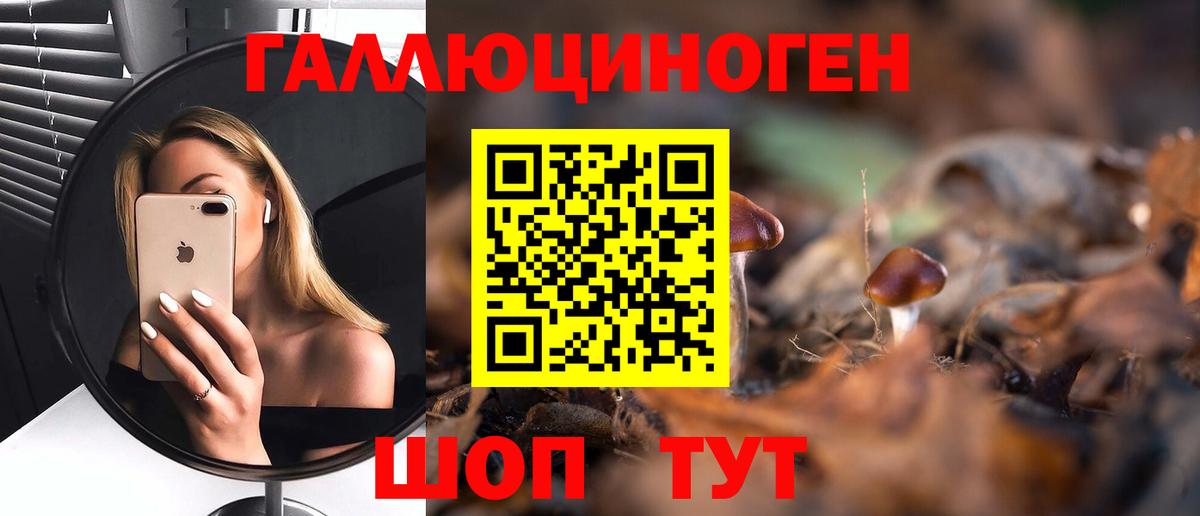 Воркута  Галлюциногенные грибы ЛСД  Псилоцибиновые грибы Psilocybe  Вход с VPN 
